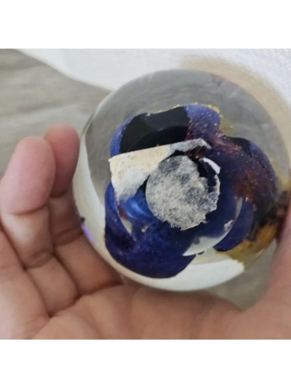 Round Art Glass Paperweight Fish Coral Ocean Blue Yellow Controlled Air Bubbles